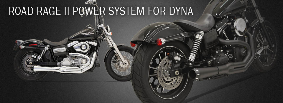 bassani exhaust dyna